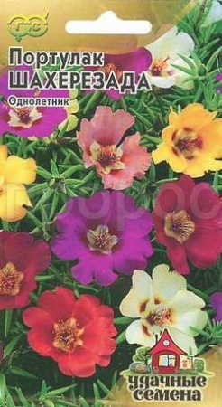 Портулак Шахерезада смесь 0,1г