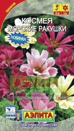 Космос Морские ракушки смесь