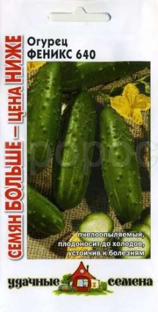 Огурец Феникс 640 1г