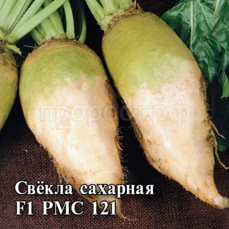 Свекла сахарная РМС 121 F1 25 г