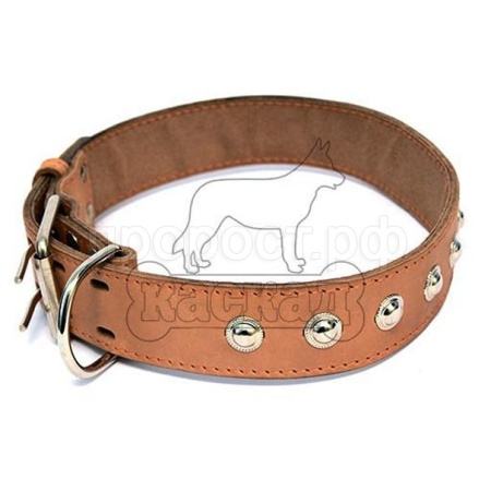 Ошейник кожа 25мм двойной с украшением и кольцом перед пряжкой 39-46см/00025061