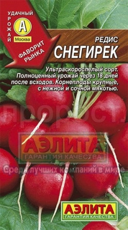 Редис Снегирек 