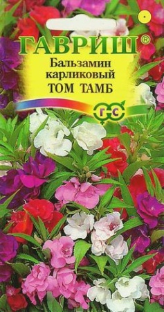 Бальзамин Том Тамб карлик. 0,1г 