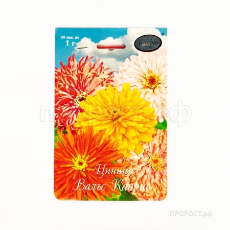 Цинния Вальс Каприс смесь 20*1 