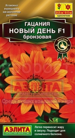 Гацания Новый день F1 бронзовая 4шт