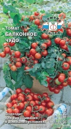 Томат Балконное Чудо 0,1г