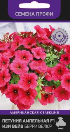 Петуния ампельная F1 Изи Вейв Берри Велюр 5шт