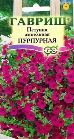 Петуния амп. Пурпурная  гранул. пробирка 7шт