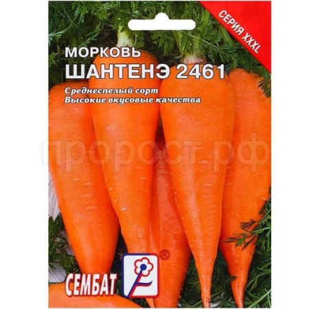 Морковь Шантенэ 2461 10 г 