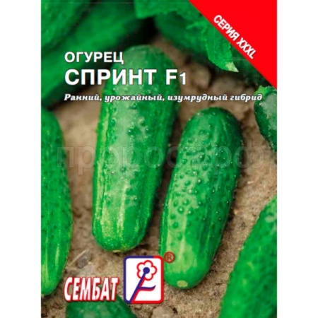 Сембат Огурец Спринт 0,5г XXXL 