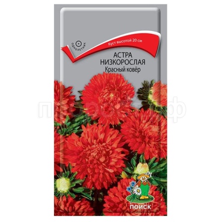 Астра низкорослая Красный ковер 0,2г 