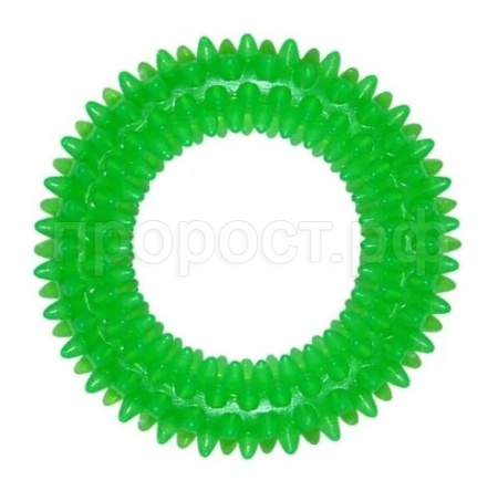 Игрушка для собак Кольцо игольчатое резиновое 13см/YZD037