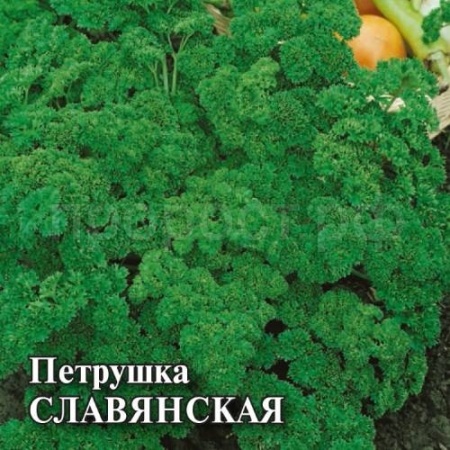 Петрушка кудрявая Славянская 50г