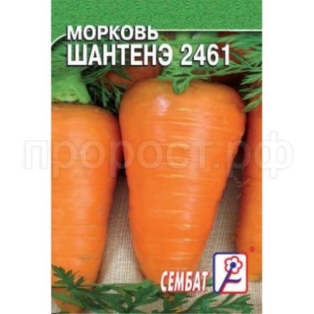 Морковь Шантенэ 2461 0,5г