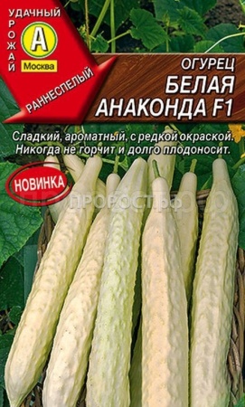 Огурец Белая анаконда F1 10шт