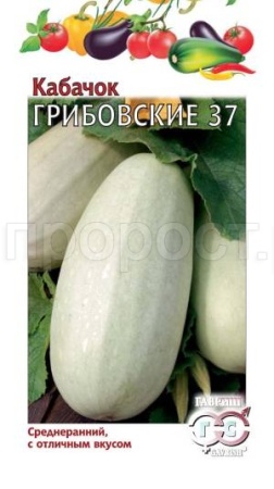 Кабачок Грибовские 37 2г 