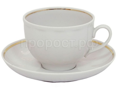 Чашка чайная с блюдцем 275мл Гранатовый Отводка люстром фарфор 