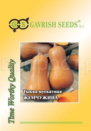 Тыква мускатная Жемчужина 25 г
