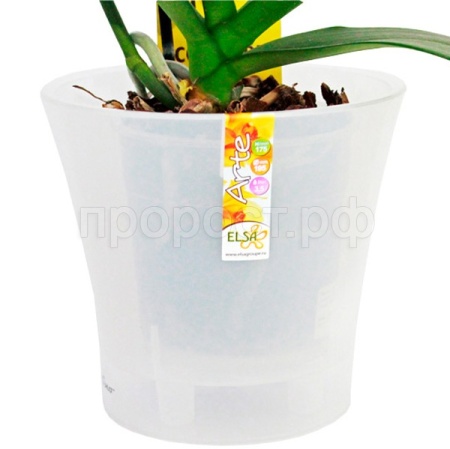 Кашпо для орхидей Арте 3,5л прозрачный АРТ 3,5 П-П