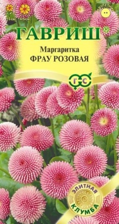 Маргаритка Фрау розовая 4шт