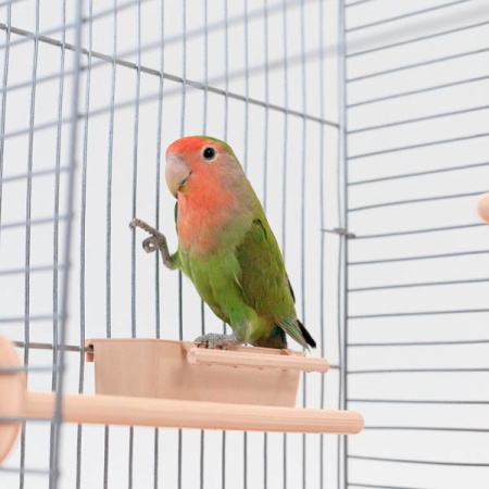 Клетка д/птиц ЛОРА-1 ECO 58*40*48см (укомплект) 1 секция бежевая/4610/Дарэлл