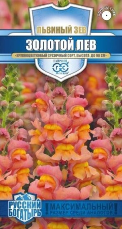 Антирринум (Львиный зев) Золотой лев 0,1г