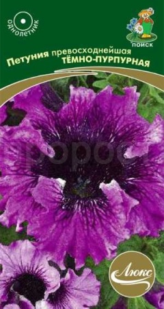 Петуния превосходнейшая Тёмно-пурпурная 10шт