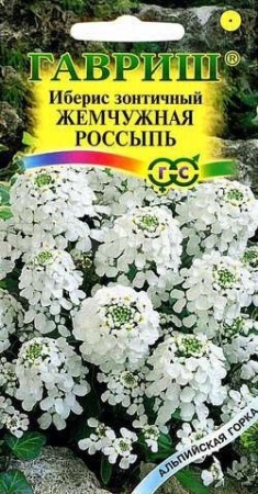Иберис Жемчужная россыпь зонтичный  0,1г