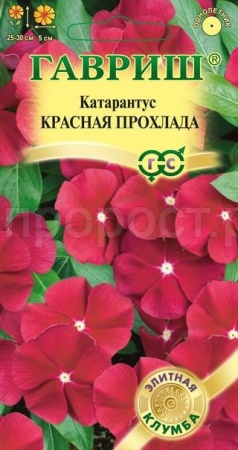 Катарантус Красная прохлада 5 шт