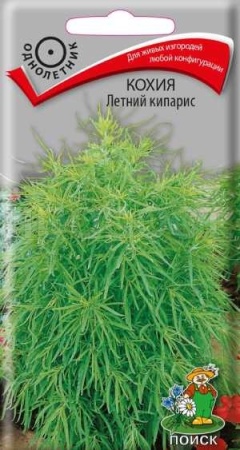 Кохия Летний кипарис 0,2г 