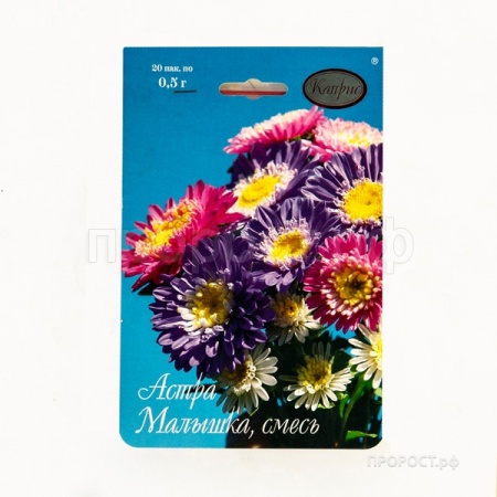 Астра смесь Малышка 20*0,5