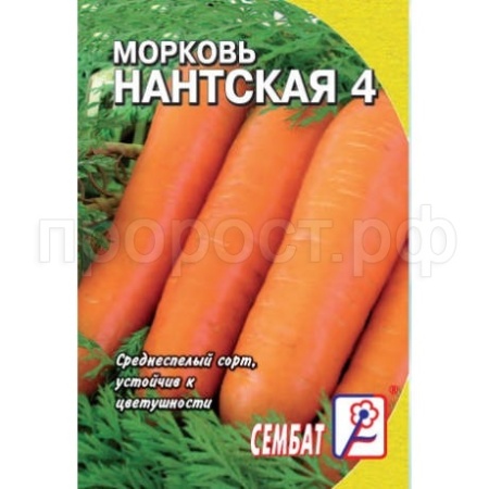 Морковь Нантская 4 2г