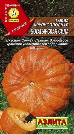 Тыква крупноплодная Богатырская сила 1г Аэлита