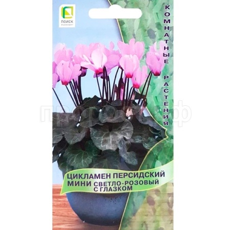 Цикламен персидский Розовый с глазком 2шт