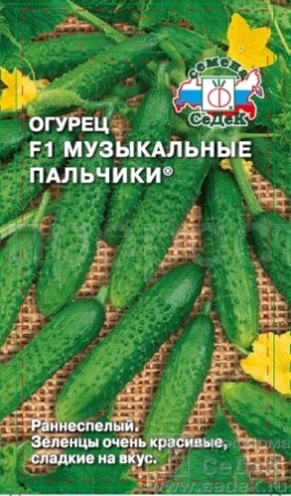 Огурец Музыкальные пальчики F1 0,2г 
