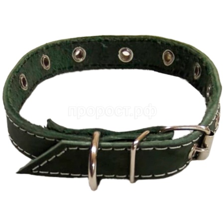 Ошейник кожа зелёный 1сл 20мм DONBARON