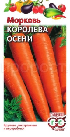 Морковь Королева осени 2 г 