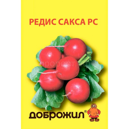 Редис Сакса 2г