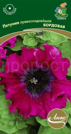 Петуния превосходнейшая Бордовая 10шт