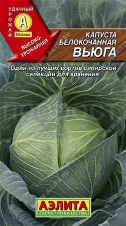 Капуста белокочанная Вьюга 