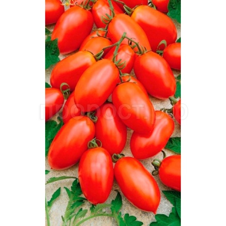 Томат Клавдия 20шт