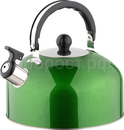 Чайник 2,7л Casual нерж.сталь, со свистком зеленый /12шт/985625