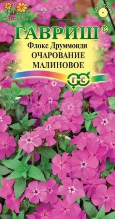 Флокс друммонди Очарование малиновое 0,05г