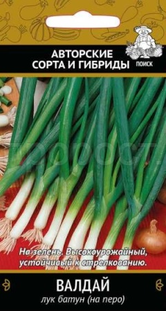 Лук батун Валдай 1г 