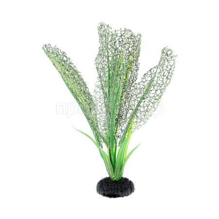 Шелковое растение 30см Plant 042 (Апоногетон мадагаскарский белый)