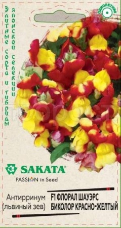 Антирринум (Львиный зев) Флорал Шауэрс Биколор красно-желтый 7 шт