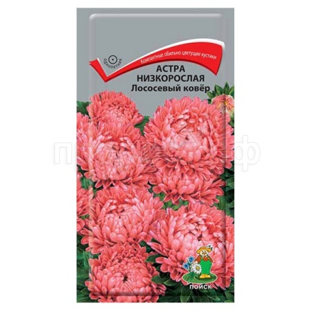 Астра низкорослая Лососевый ковер 0,2г