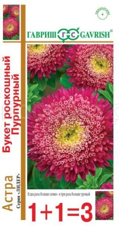 Астра Букет роскошный пурпурный 0,5 г серия 1+1