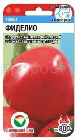 Томат Фиделио 20шт