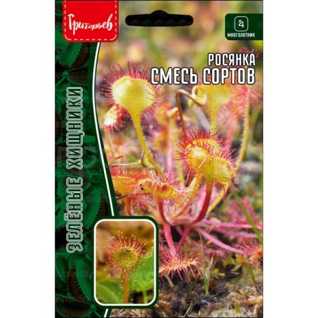 Редкие растения Росянка Смесь Сортов 5шт 